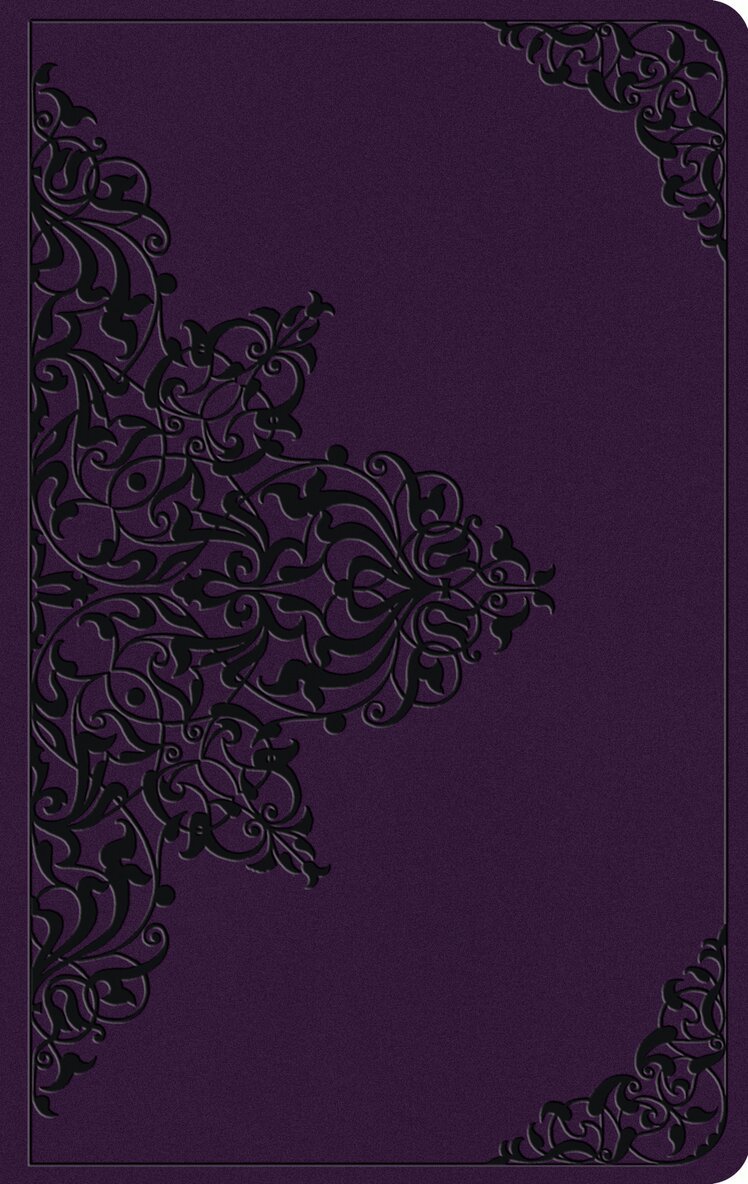 Esv Bibles - ESV Large Print Value Thinline Bible, Inbunden