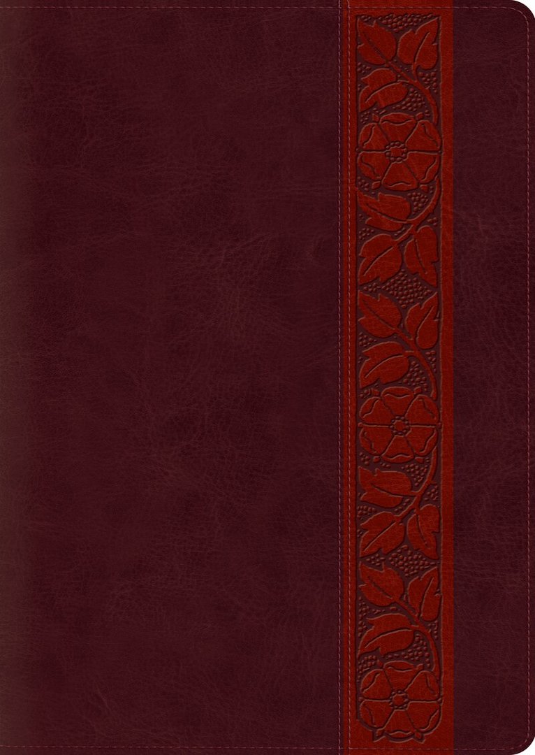 Esv Bibles - ESV Study Bible, Large Print, Thumb Indexed, Inbunden. Tillgänglighet: Lägg i varukorg