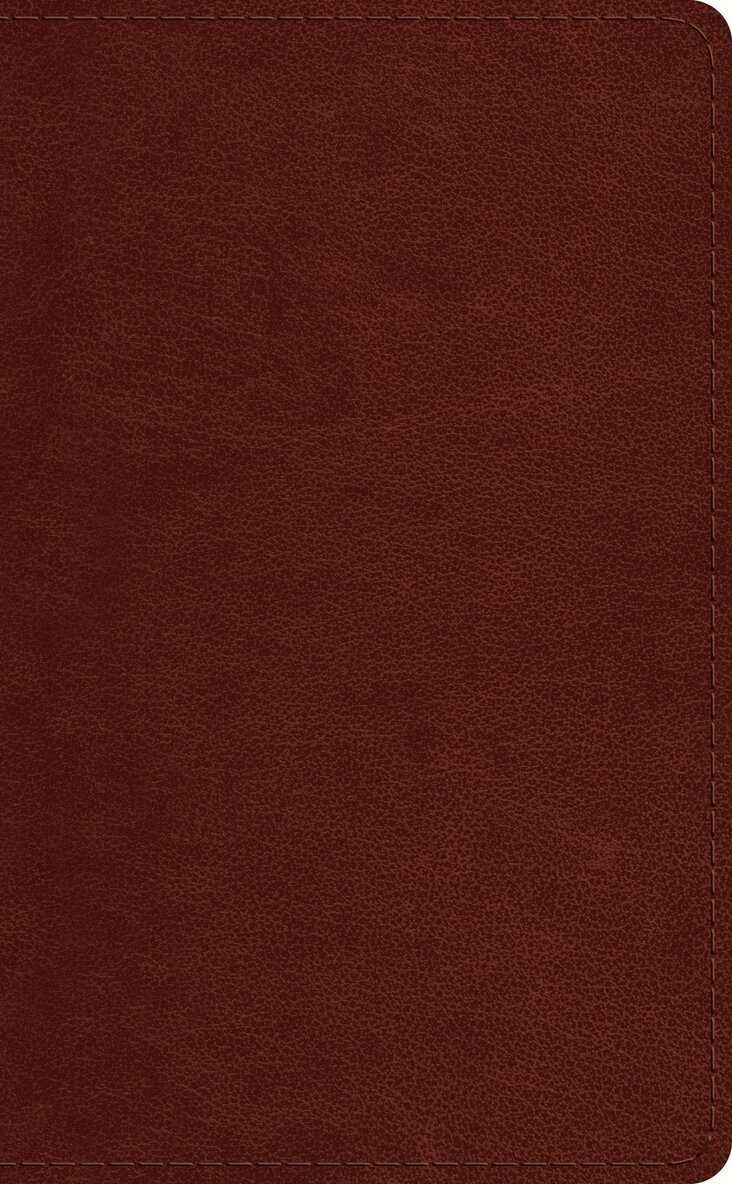 Esv Bibles - ESV Pocket Bible, Inbunden. Tillgänglighet: Lägg i varukorg