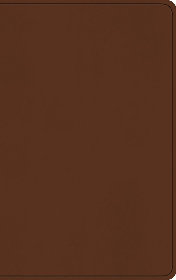 Esv Bibles - ESV Large Print Value Thinline Bible, Inbunden