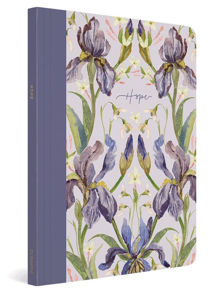 Erika Allen - ESV Prayer Journal, Häftad