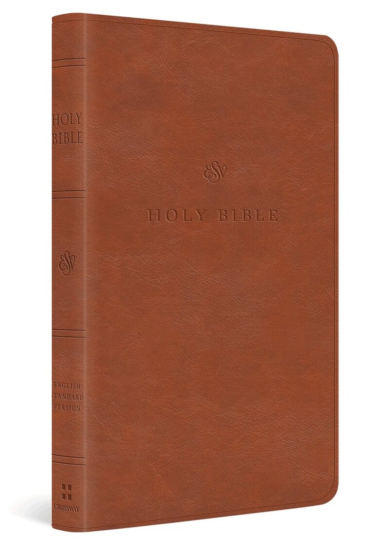 ESV Value Thinline Bible, Inbunden