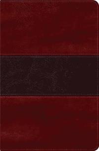 RVR 1960 Biblia del Pescador, caoba simil piel de lujo