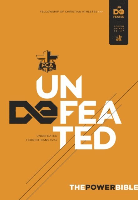 Holman Bible Publishers - Power Bible: Undefeated Edition, E-bok