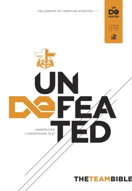 Holman Bible Publishers - Team Bible: Undefeated Edition, E-bok