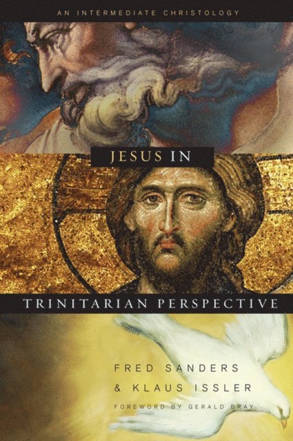 Klaus Issler, Fred Sanders - Jesus in Trinitarian Perspective, E-bok