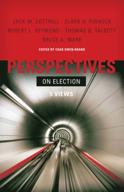 Chad Brand - Perspectives on Election, E-bok