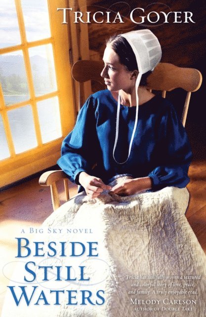 Tricia Goyer - Beside Still Waters, E-bok