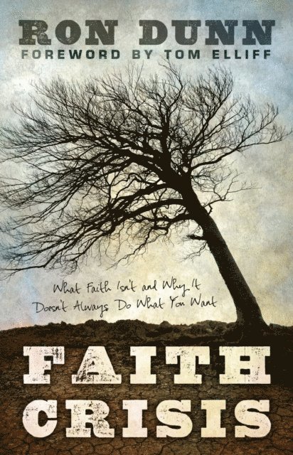 Ron Dunn - Faith Crisis, E-bok