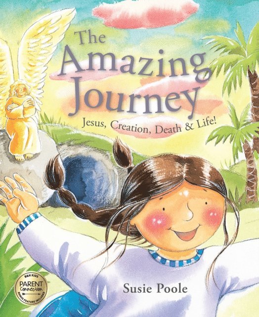 Susie Poole - Amazing Journey, E-bok