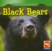 JoAnn Early Macken - Black Bears, Häftad