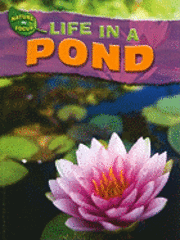 Adam Hibbert - Life in a Pond, Häftad. Tillgänglighet: Tillfälligt slut