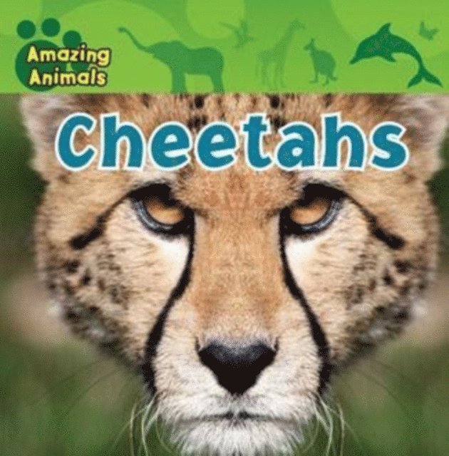 Kate Delaney, Sarah Albee - Cheetahs, E-bok
