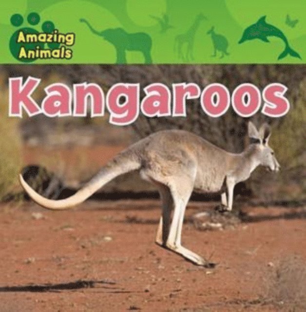 Christina Wilsdon - Kangaroos, E-bok