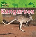 Kangaroos