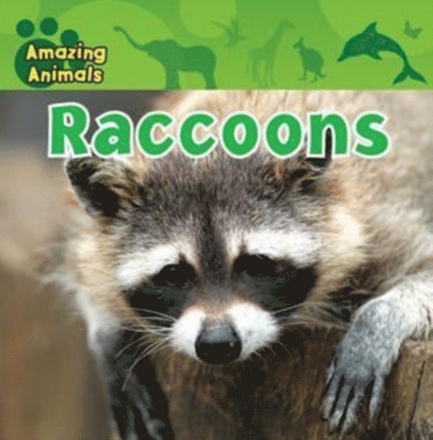 Karen Baicker - Raccoons, E-bok