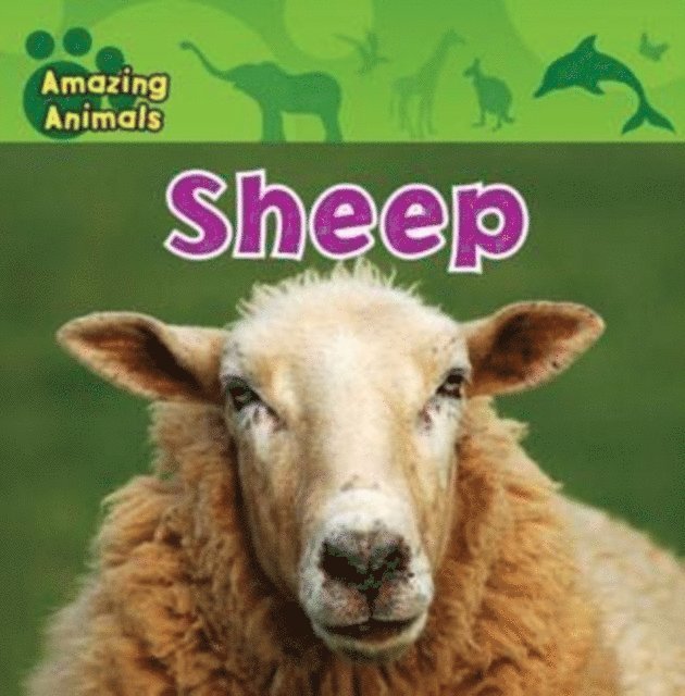 Christina Wilsdon - Sheep, E-bok