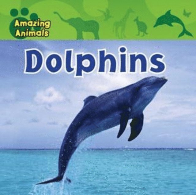 Sarah Albee - Dolphins, E-bok
