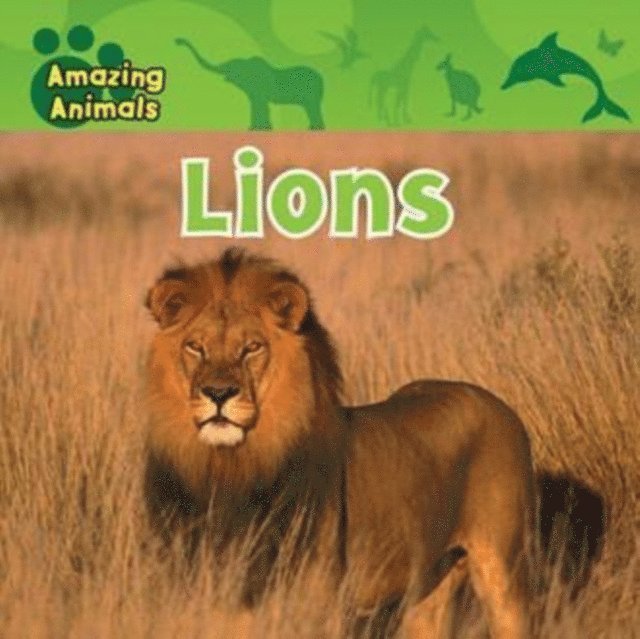 Sarah Albee - Lions, E-bok