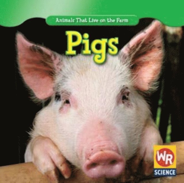 JoAnn Early Macken - Pigs, E-bok