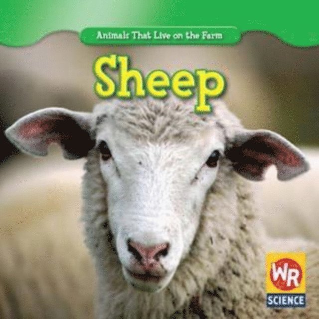 JoAnn Early Macken - Sheep, E-bok