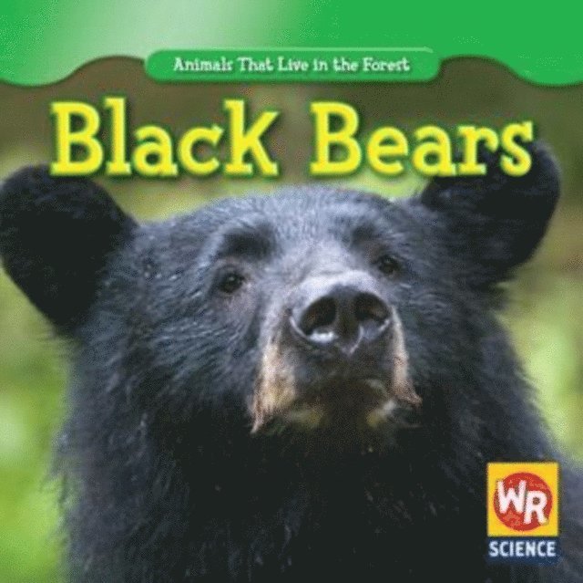 JoAnn Early Macken - Black Bears, E-bok