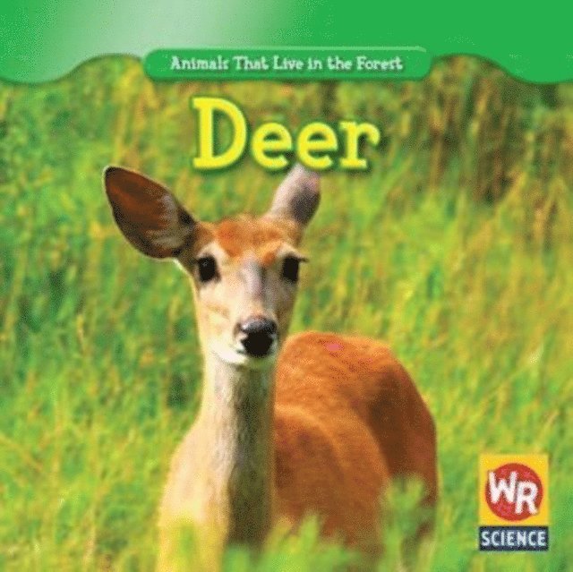 JoAnn Early Macken - Deer, E-bok