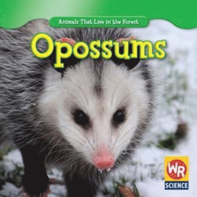 JoAnn Early Macken - Opossums, E-bok. Tillgänglighet: Lägg i varukorg
