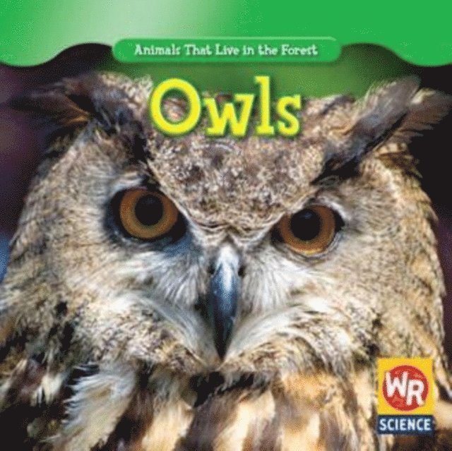 JoAnn Early Macken - Owls, E-bok. Tillgänglighet: Lägg i varukorg