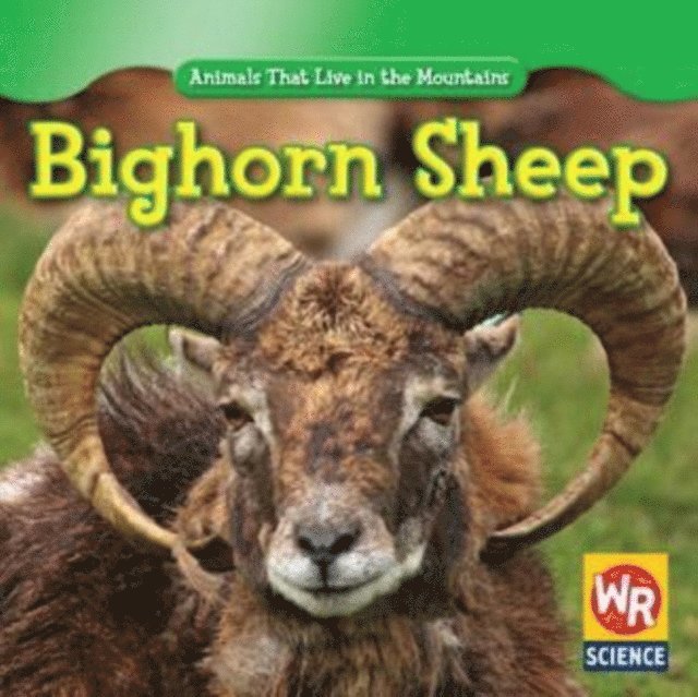 JoAnn Early Macken - Bighorn Sheep, E-bok. Tillgänglighet: Lägg i varukorg