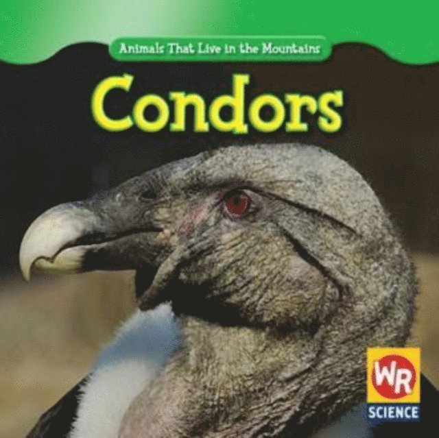 JoAnn Early Macken - Condors, E-bok. Tillgänglighet: Lägg i varukorg