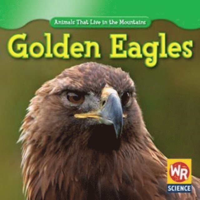 JoAnn Early Macken - Golden Eagles, E-bok