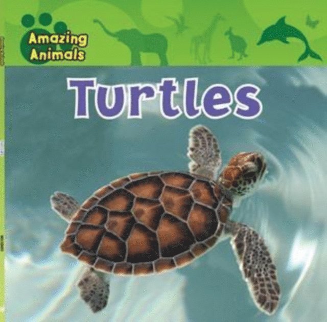 Christina Wilsdon - Turtles, E-bok