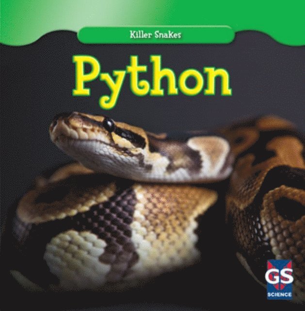 Daisy Allyn - Python, E-bok
