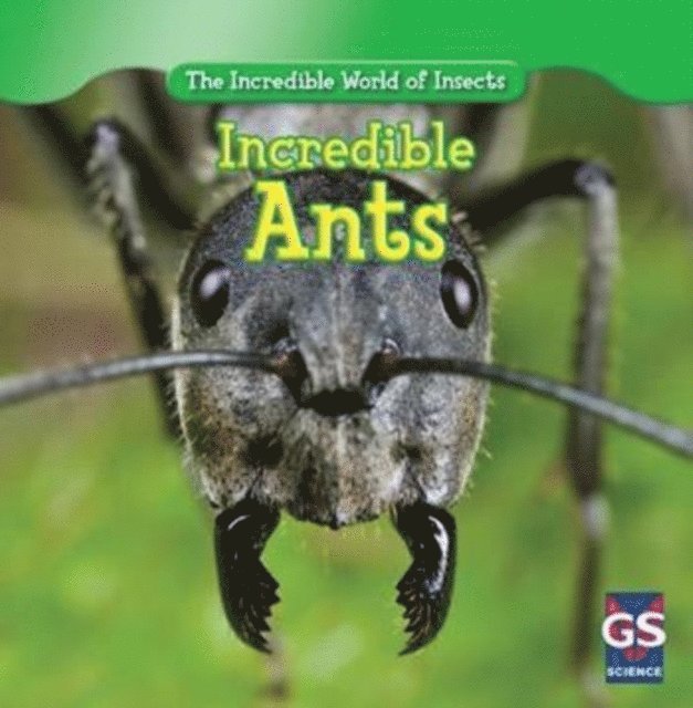 Susan Ashley - Incredible Ants, E-bok