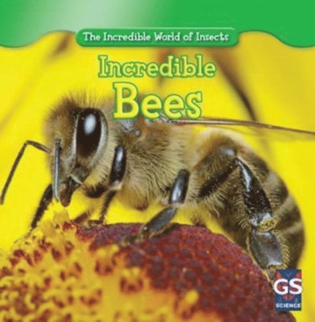Susan Ashley - Incredible Bees, E-bok