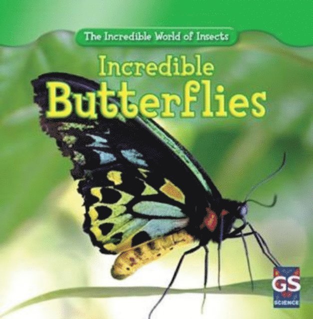 Susan Ashley - Incredible Butterflies, E-bok