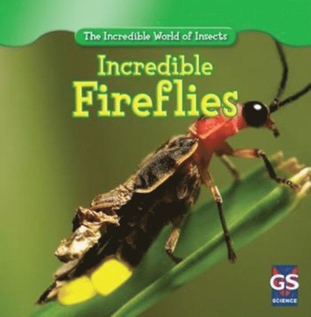 Susan Ashley - Incredible Fireflies, E-bok