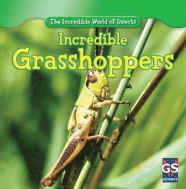 Susan Ashley - Incredible Grasshoppers, E-bok