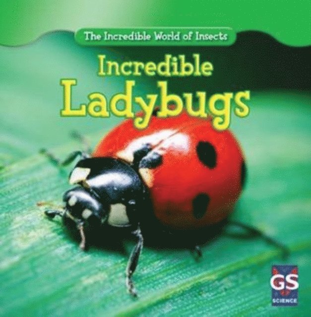 Susan Ashley - Incredible Ladybugs, E-bok