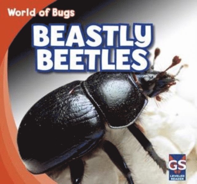 Greg Roza - Beastly Beetles, E-bok