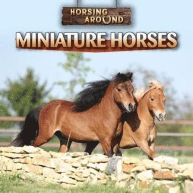 Barbara M. Linde - Miniature Horses, E-bok