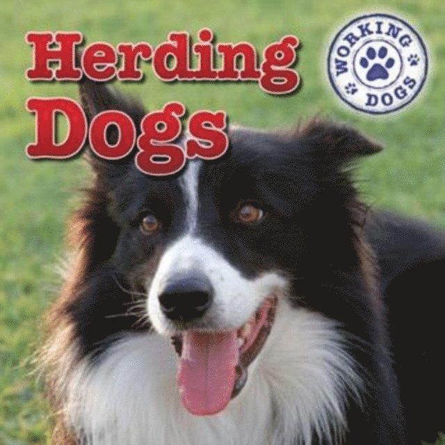 Mary Ann Hoffman - Herding Dogs, E-bok