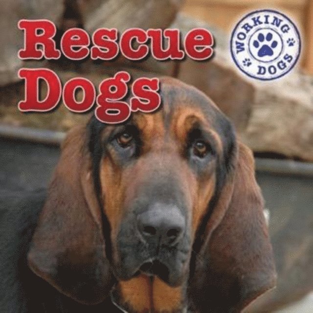 Kristen Rajczak Nelson - Rescue Dogs, E-bok