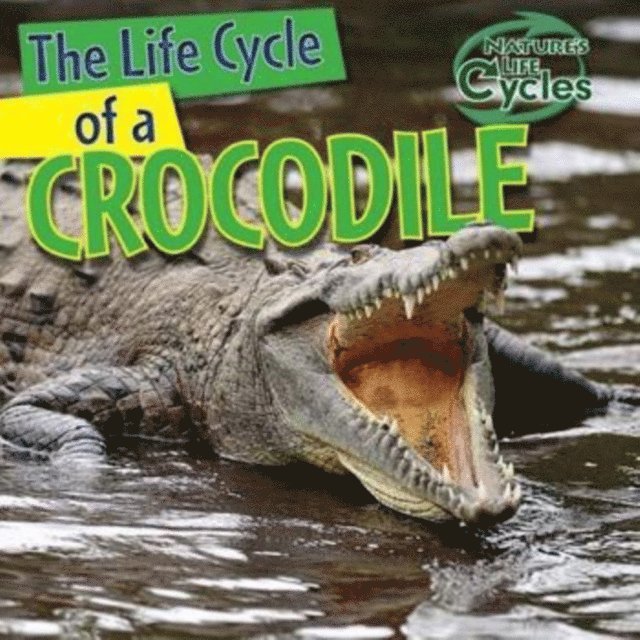 Barbara M. Linde - Life Cycle of a Crocodile, E-bok