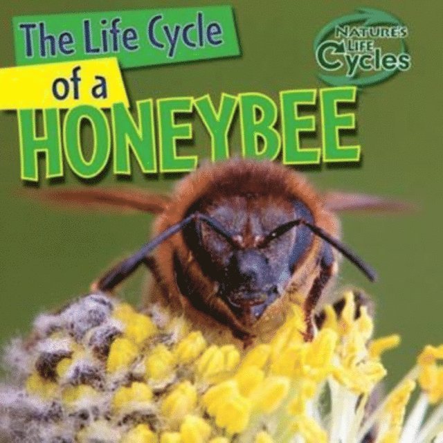 Barbara M. Linde - Life Cycle of a Honeybee, E-bok