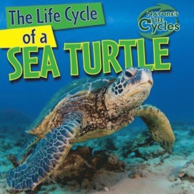 Anna Kingston - Life Cycle of a Sea Turtle, E-bok