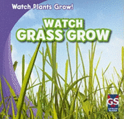 Kristen Rajczak Nelson - Watch Grass Grow, Häftad