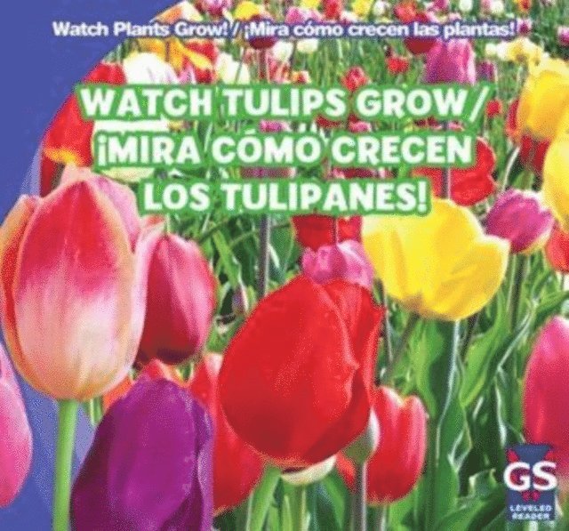 Kristen Rajczak Nelson - Watch Tulips Grow / !Mira como crecen los tulipanes!, E-bok