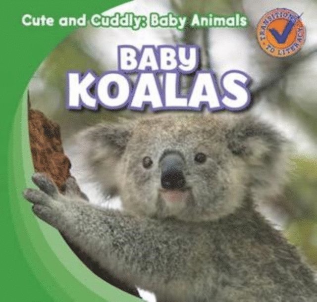 Katie Kawa - Baby Koalas, E-bok